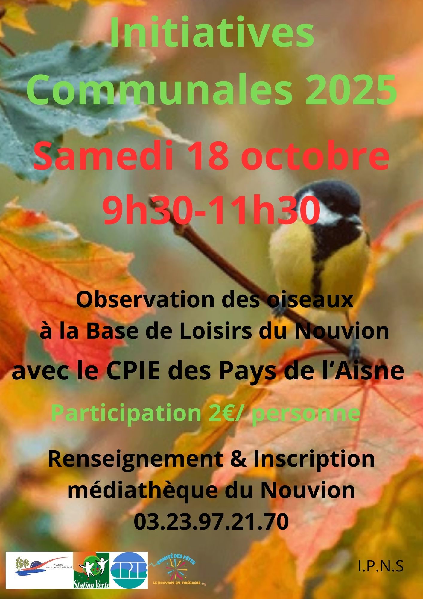 affiche observation des oiseaux